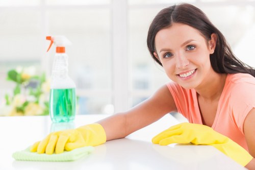 Professional stain removal treatment for a carpet in a Camden home