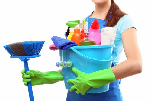 Close-up of upholstery and carpet care materials during cleaning