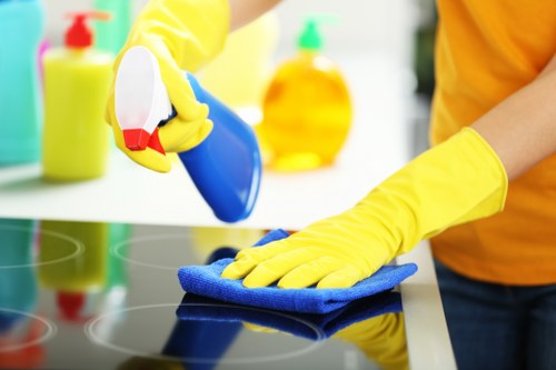 Local carpet cleaner working on stairs and hallways in Camden