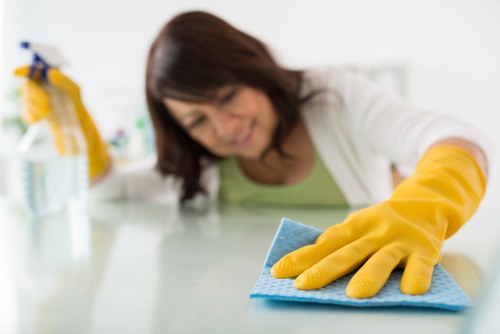 Exterior building maintenance in Camden with careful access planning