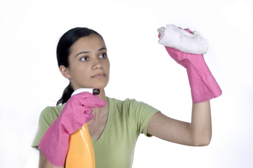 Local pet odour removal process for upholstery and carpets in Camden