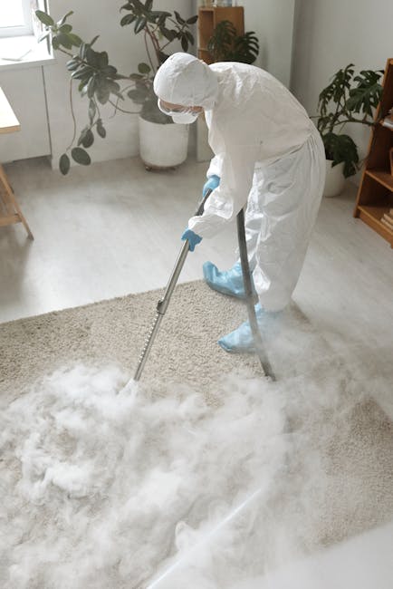A professional cleaner dressed in full protective gear, including a white coverall, gloves, and a face mask, is performing deep cleaning on a light beige carpet in a residential living room. The cleaner is using a steam cleaning or extraction tool, which is emitting steam or cleaning solution onto the carpet surface. The room features a minimalist decor with a large window allowing natural light to illuminate the space, including potted plants on the windowsill and a wooden shelf in the background. The clean, polished wooden floor around the carpet is visible, and the overall environment appears tidy and well-maintained, highlighting thorough surface cleaning and sanitisation by Carpet Cleaners Camden for effective domestic cleaning in the NW1 Camden area.